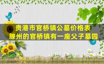 贵港市官桥镇公墓价格表 滕州的官桥镇有一座父子墓园